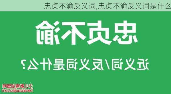 忠贞不渝反义词,忠贞不渝反义词是什么