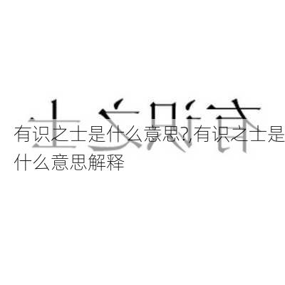 有识之士是什么意思?,有识之士是什么意思解释