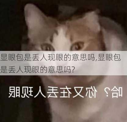 显眼包是丢人现眼的意思吗,显眼包是丢人现眼的意思吗?