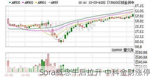 Sora概念午后拉升 中科金财涨停