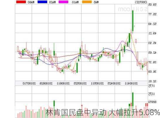 林肯国民盘中异动 大幅拉升5.08%