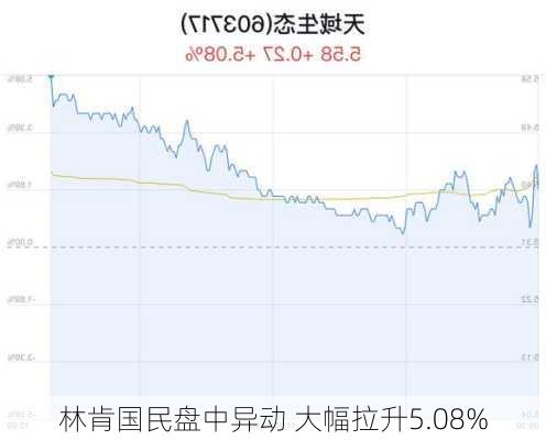 林肯国民盘中异动 大幅拉升5.08%