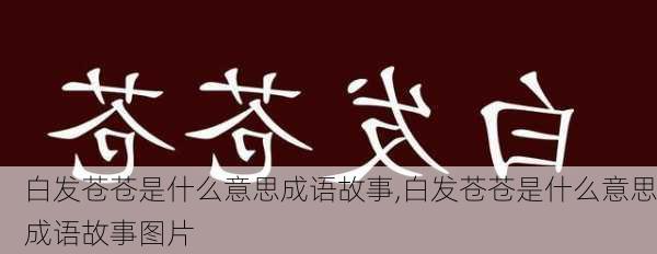 白发苍苍是什么意思成语故事,白发苍苍是什么意思成语故事图片