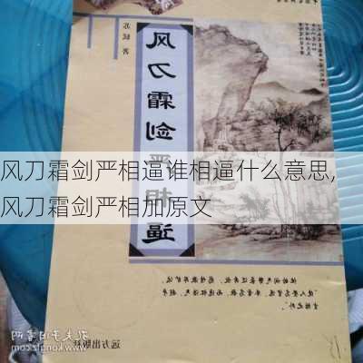 风刀霜剑严相逼谁相逼什么意思,风刀霜剑严相加原文