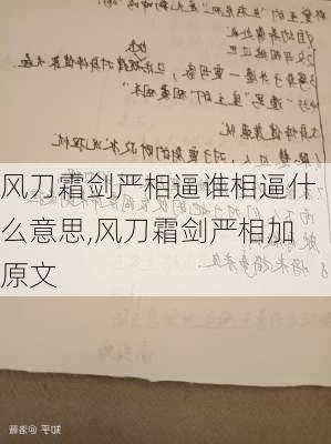 风刀霜剑严相逼谁相逼什么意思,风刀霜剑严相加原文