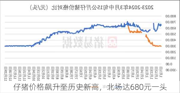 仔猪价格飙升至历史新高，北场达680元一头