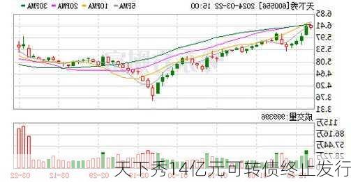 天下秀14亿元可转债终止发行