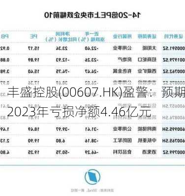 丰盛控股(00607.HK)盈警：预期2023年亏损净额4.46亿元