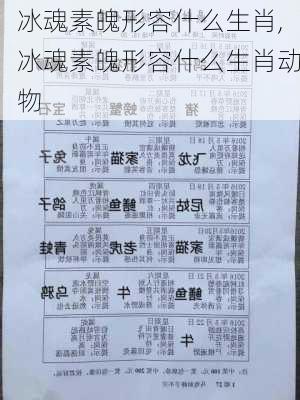 冰魂素魄形容什么生肖,冰魂素魄形容什么生肖动物