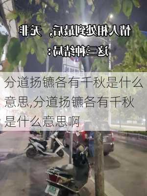 分道扬镳各有千秋是什么意思,分道扬镳各有千秋是什么意思啊