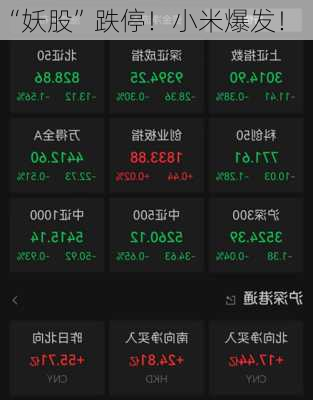 “妖股”跌停！小米爆发！