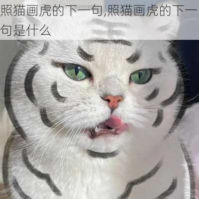 照猫画虎的下一句,照猫画虎的下一句是什么