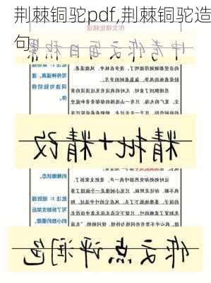 荆棘铜驼pdf,荆棘铜驼造句