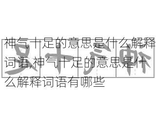 神气十足的意思是什么解释词语,神气十足的意思是什么解释词语有哪些