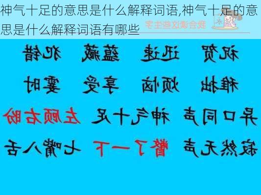 神气十足的意思是什么解释词语,神气十足的意思是什么解释词语有哪些