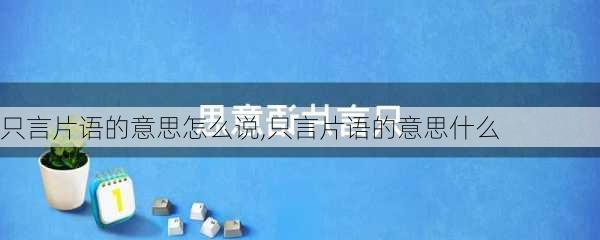 只言片语的意思怎么说,只言片语的意思什么