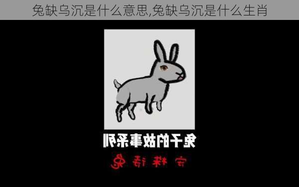 兔缺乌沉是什么意思,兔缺乌沉是什么生肖