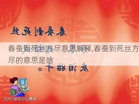 春蚕到死丝方尽意思解释,春蚕到死丝方尽的意思是啥