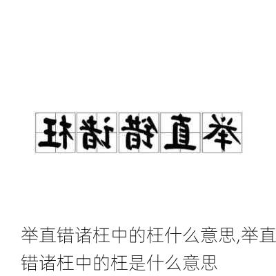 举直错诸枉中的枉什么意思,举直错诸枉中的枉是什么意思