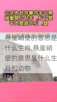 悬崖峭壁的意思是什么生肖,悬崖峭壁的意思是什么生肖和动物