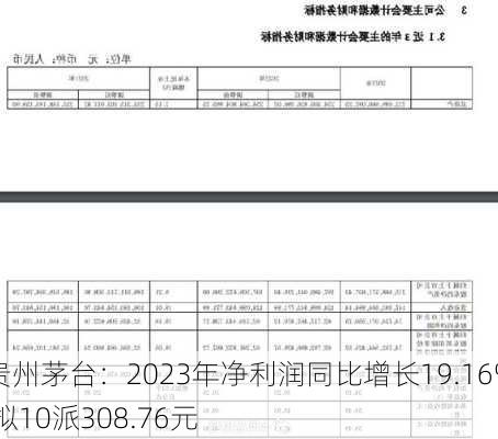 贵州茅台：2023年净利润同比增长19.16% 拟10派308.76元