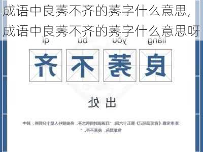 成语中良莠不齐的莠字什么意思,成语中良莠不齐的莠字什么意思呀