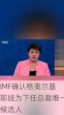 IMF确认格奥尔基耶娃为下任总裁唯一候选人