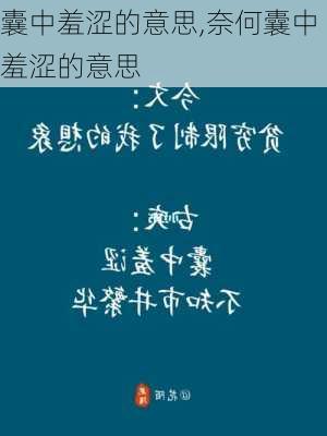 囊中羞涩的意思,奈何囊中羞涩的意思