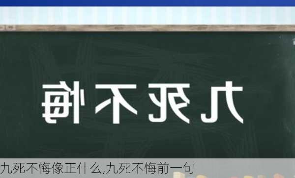 九死不悔像正什么,九死不悔前一句