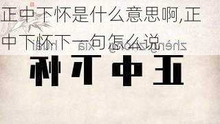 正中下怀是什么意思啊,正中下怀下一句怎么说