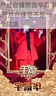 严丝合缝歌曲华晨宇,严丝合缝是不是一个成语