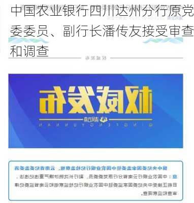 中国农业银行四川达州分行原党委委员、副行长潘传友接受审查和调查