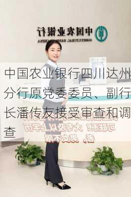 中国农业银行四川达州分行原党委委员、副行长潘传友接受审查和调查