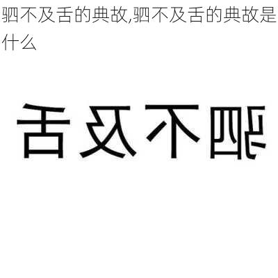 驷不及舌的典故,驷不及舌的典故是什么