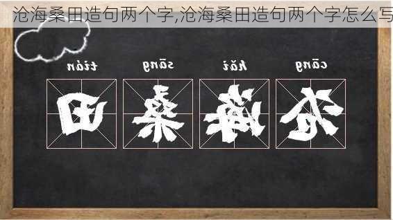 沧海桑田造句两个字,沧海桑田造句两个字怎么写