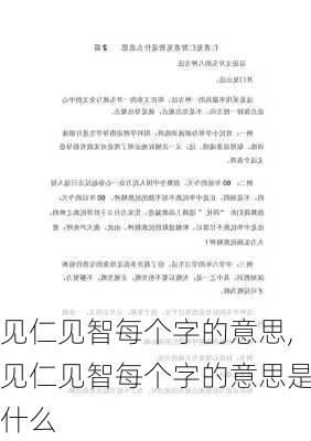 见仁见智每个字的意思,见仁见智每个字的意思是什么