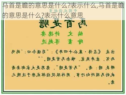 马首是瞻的意思是什么?表示什么,马首是瞻的意思是什么?表示什么意思