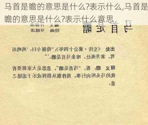 马首是瞻的意思是什么?表示什么,马首是瞻的意思是什么?表示什么意思