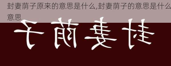 封妻荫子原来的意思是什么,封妻荫子的意思是什么意思