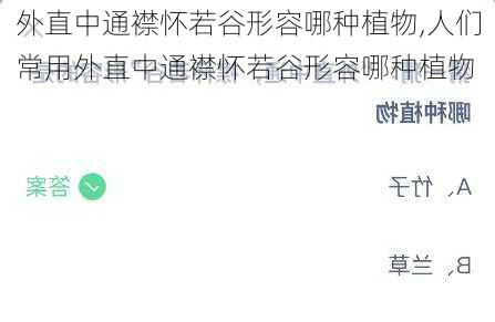 外直中通襟怀若谷形容哪种植物,人们常用外直中通襟怀若谷形容哪种植物