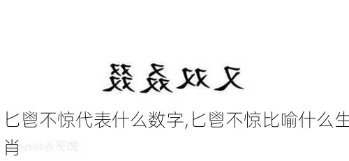 匕鬯不惊代表什么数字,匕鬯不惊比喻什么生肖