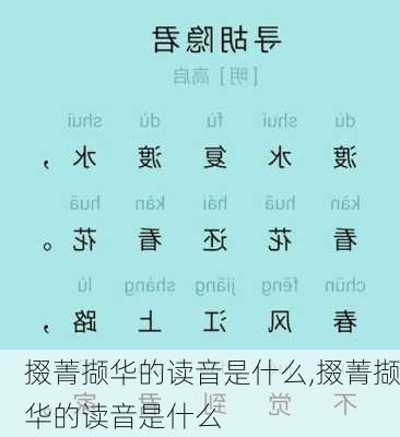 掇菁撷华的读音是什么,掇菁撷华的读音是什么