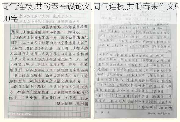 同气连枝,共盼春来议论文,同气连枝,共盼春来作文800字