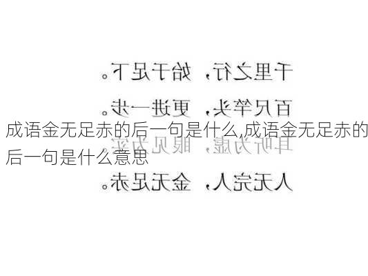 成语金无足赤的后一句是什么,成语金无足赤的后一句是什么意思