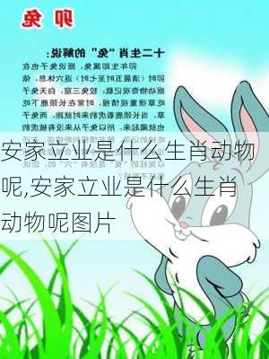 安家立业是什么生肖动物呢,安家立业是什么生肖动物呢图片