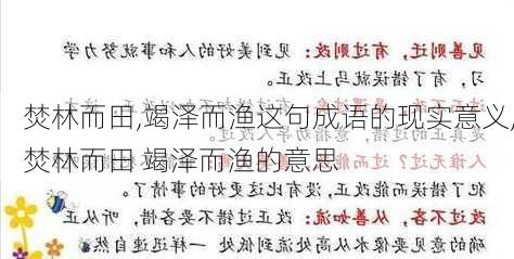 焚林而田,竭泽而渔这句成语的现实意义,焚林而田 竭泽而渔的意思