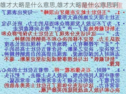 雄才大略是什么意思,雄才大略是什么意思啊