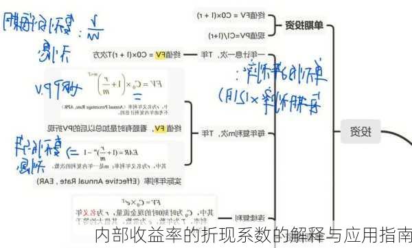 内部收益率的折现系数的解释与应用指南