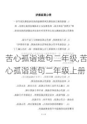 苦心孤诣造句二年级,苦心孤诣造句二年级上册