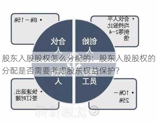 股东入股股权怎么分配的：股东入股股权的分配是否需要考虑股东权益保护？